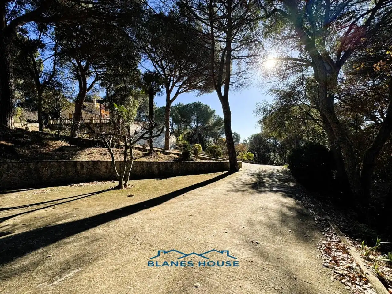 Vista exterior de Finca rústica en venda en Sant Feliu de Buixalleu amb Calefacció, Jardí privat i Terrassa