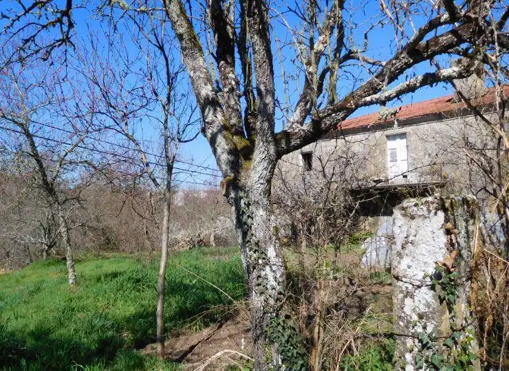 Country homes for sale in O Carballiño  
