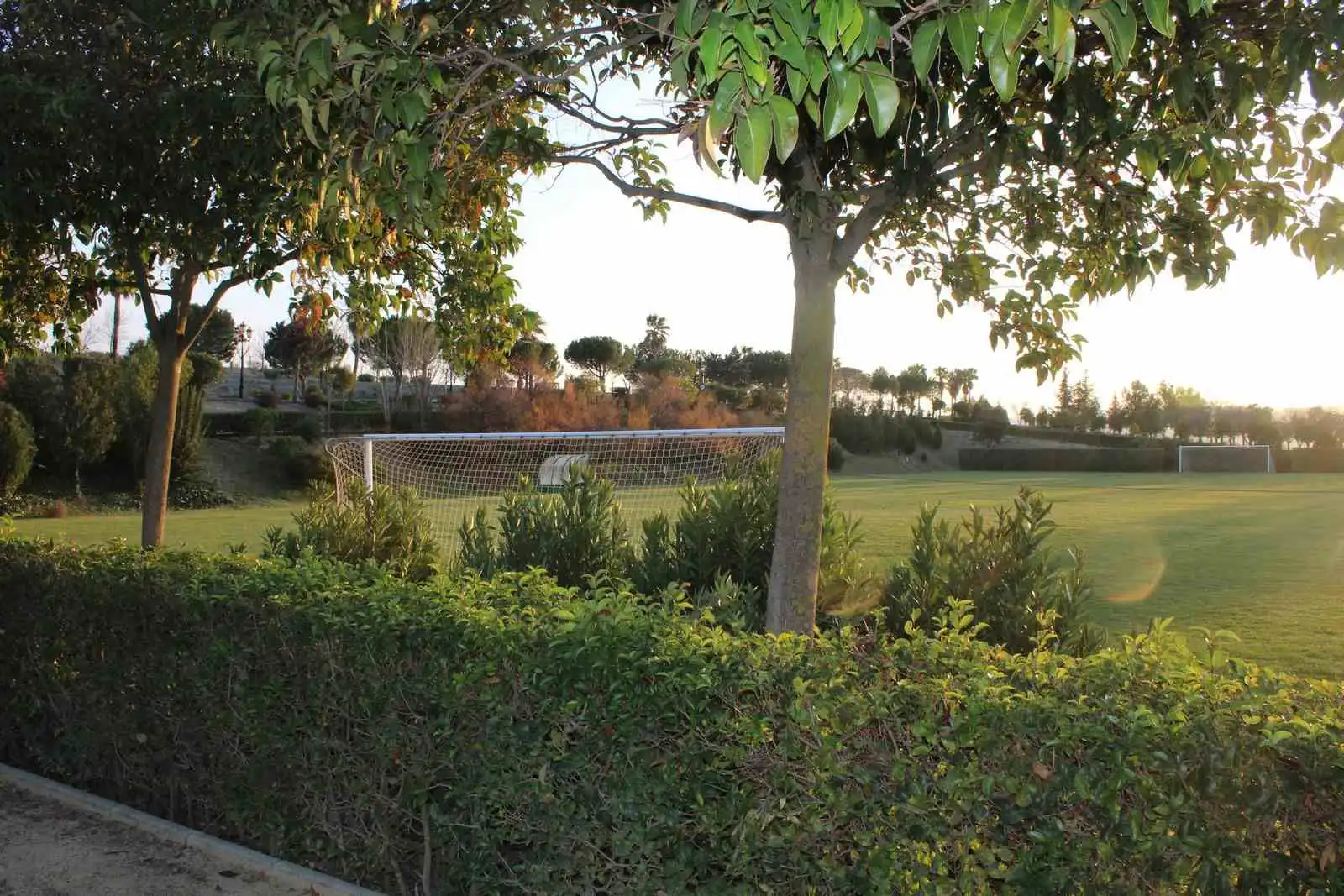 Terreno residencial en venta en Dílar, imagen 15
