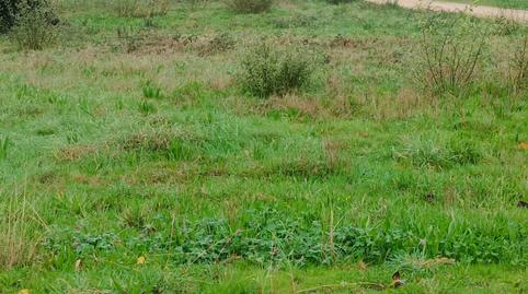 Foto 5 de Residencial en venta en  Pombal, Barro, Pontevedra