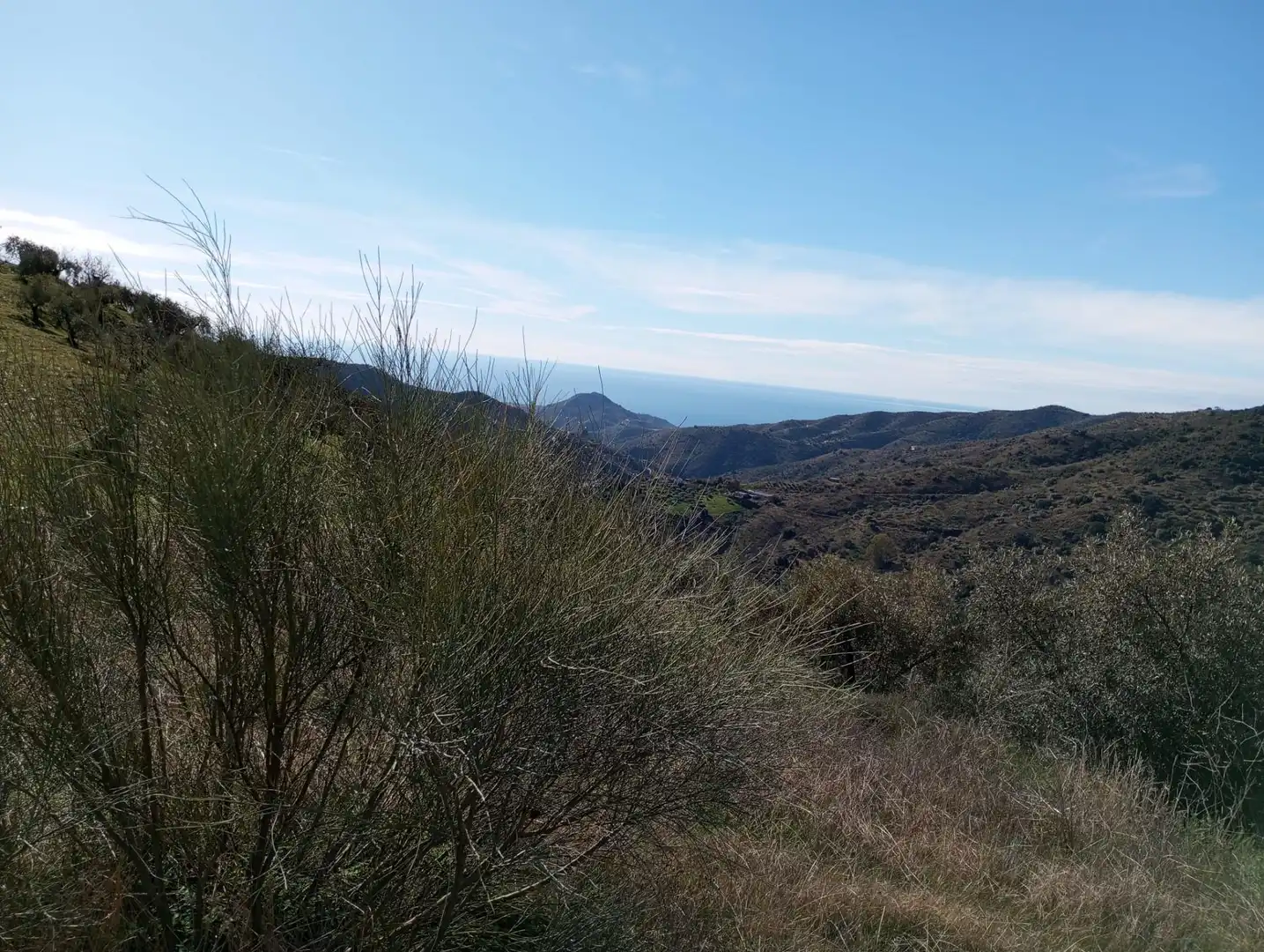 Exterior view of Land for sale in Málaga