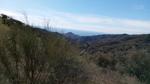 Photo 4 of Land for sale in Camino Camino Totalán, Jarazmín, Málaga Capital