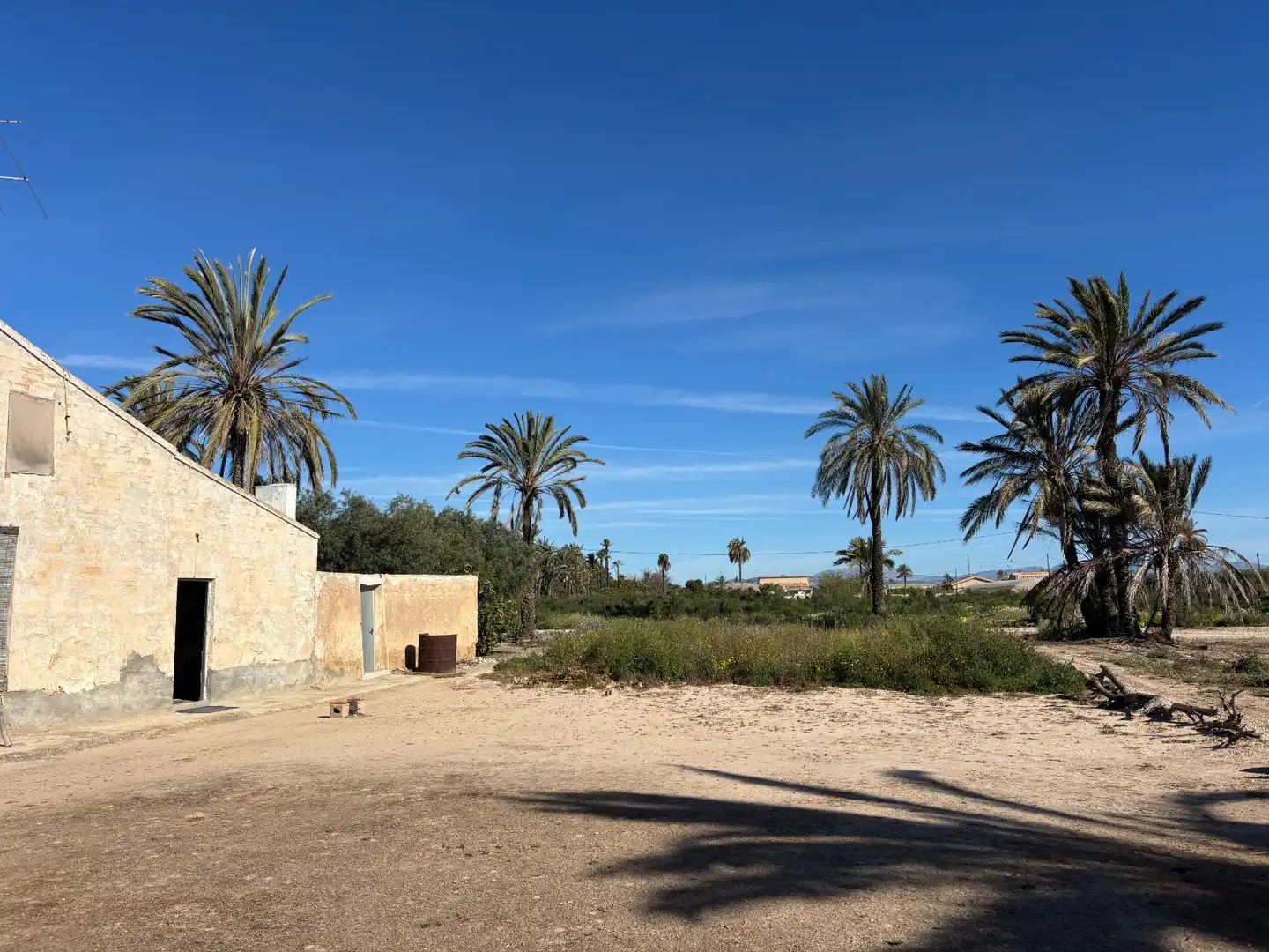 Houses for sale in Elche / Elx