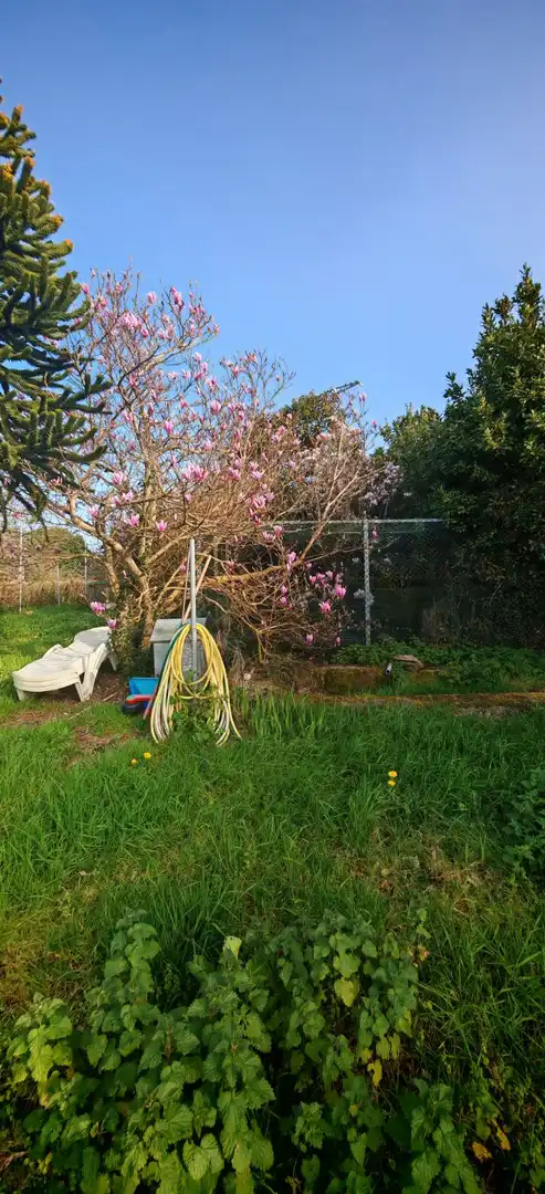 Terreni e lotti in vendita a Fene, imagen 7