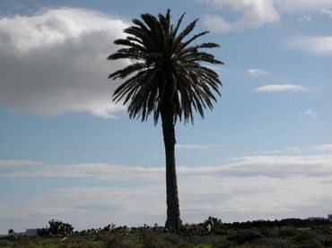 Terreno residenziale in vendita a Máguez