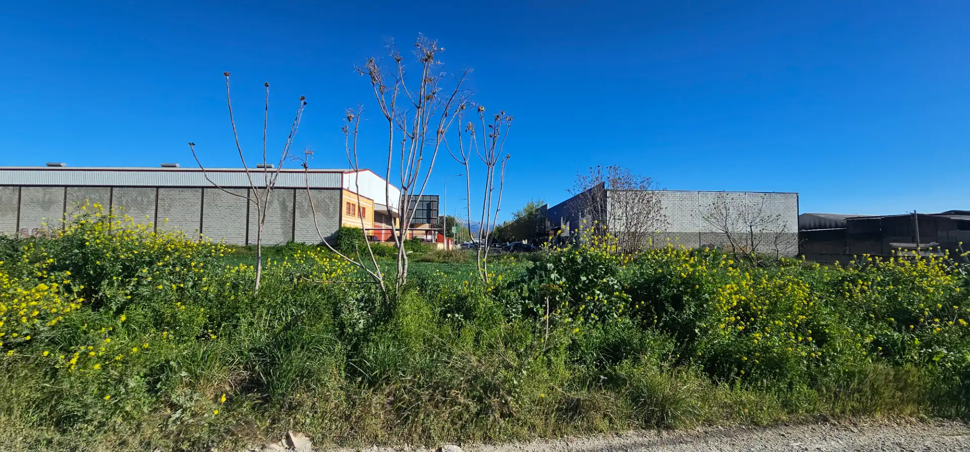 Nau industrial en venda en Maracena
