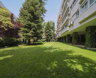 Jardí de Dúplex en venda en  Madrid Capital amb Aire condicionat, Calefacció i Terrassa