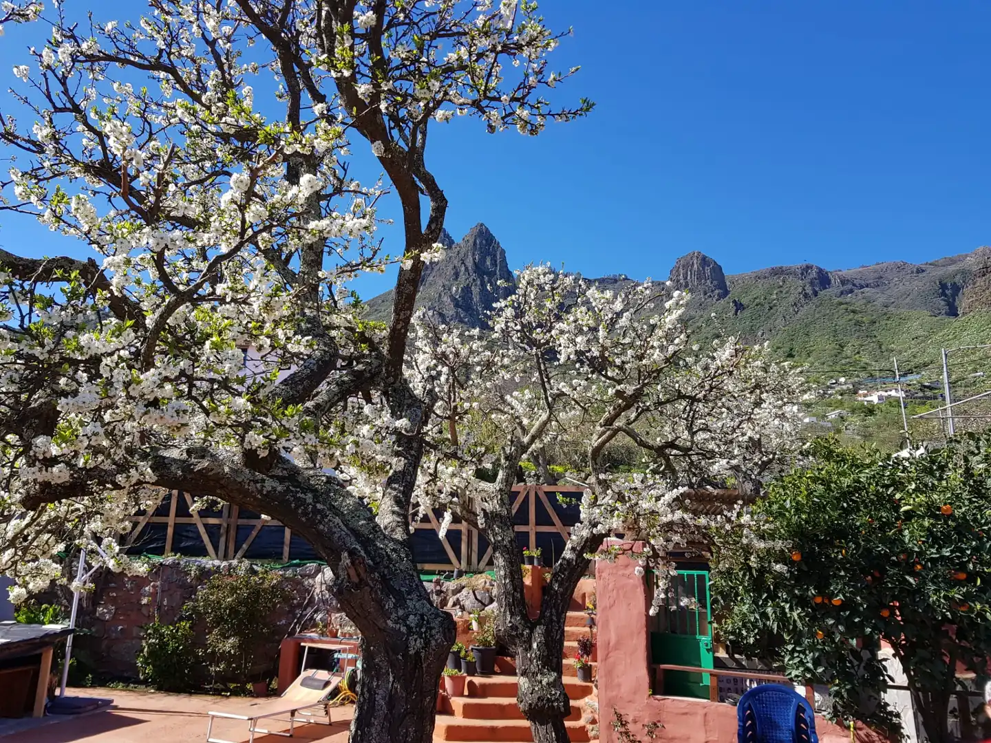 Jardí de Casa o xalet en venda en Valsequillo de Gran Canaria amb Jardí privat, Terrassa i Traster