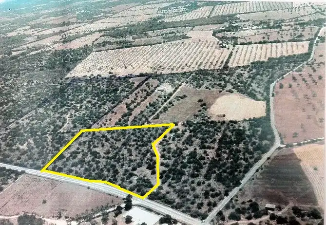 Terreno rustico in vendita a Ma-6014 Km 24, imagen 7