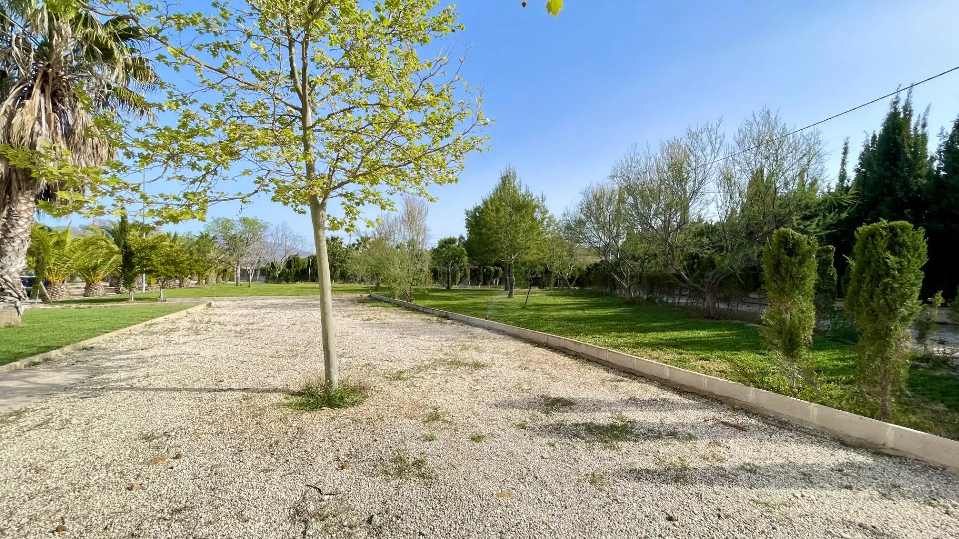 Chalet con piscina en venta en Calle Finca Rustica en Sax, imagen 5