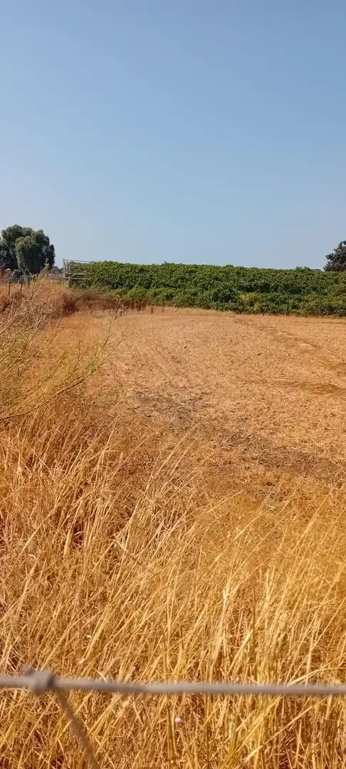 Terreni e lotti in vendita a Camino del Atunero, imagen 5