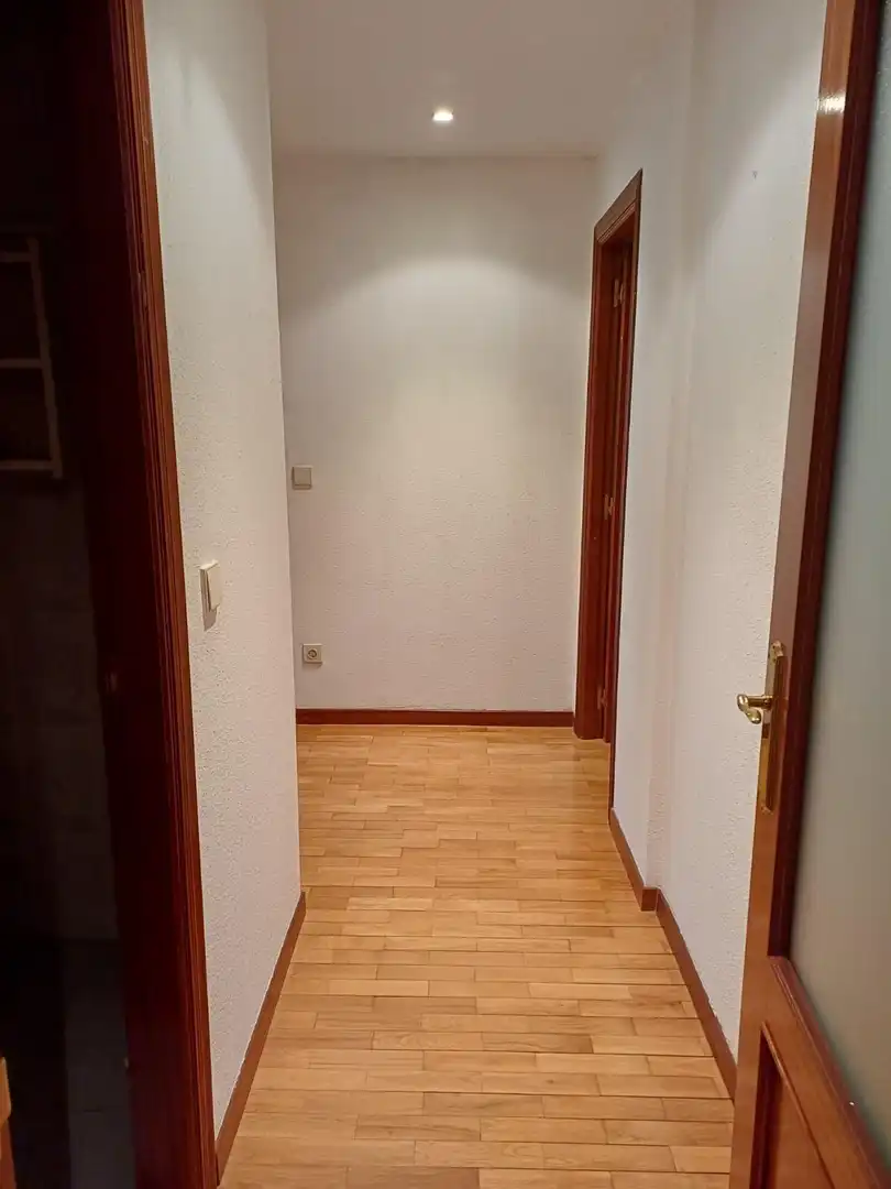 Pis amb ascensor de lloguer a Alisal - San Román, imagen 15