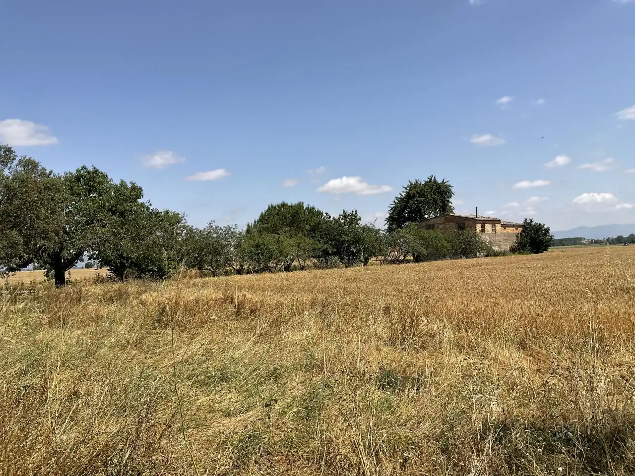 Land for sale in Bañares