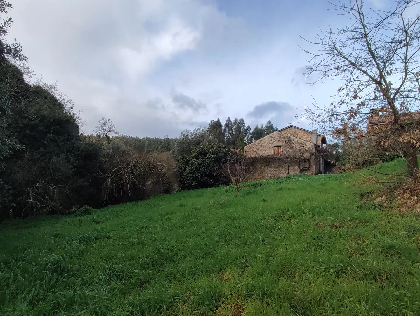 Casa o chalet en venta en Arteixo con Jardín privado
