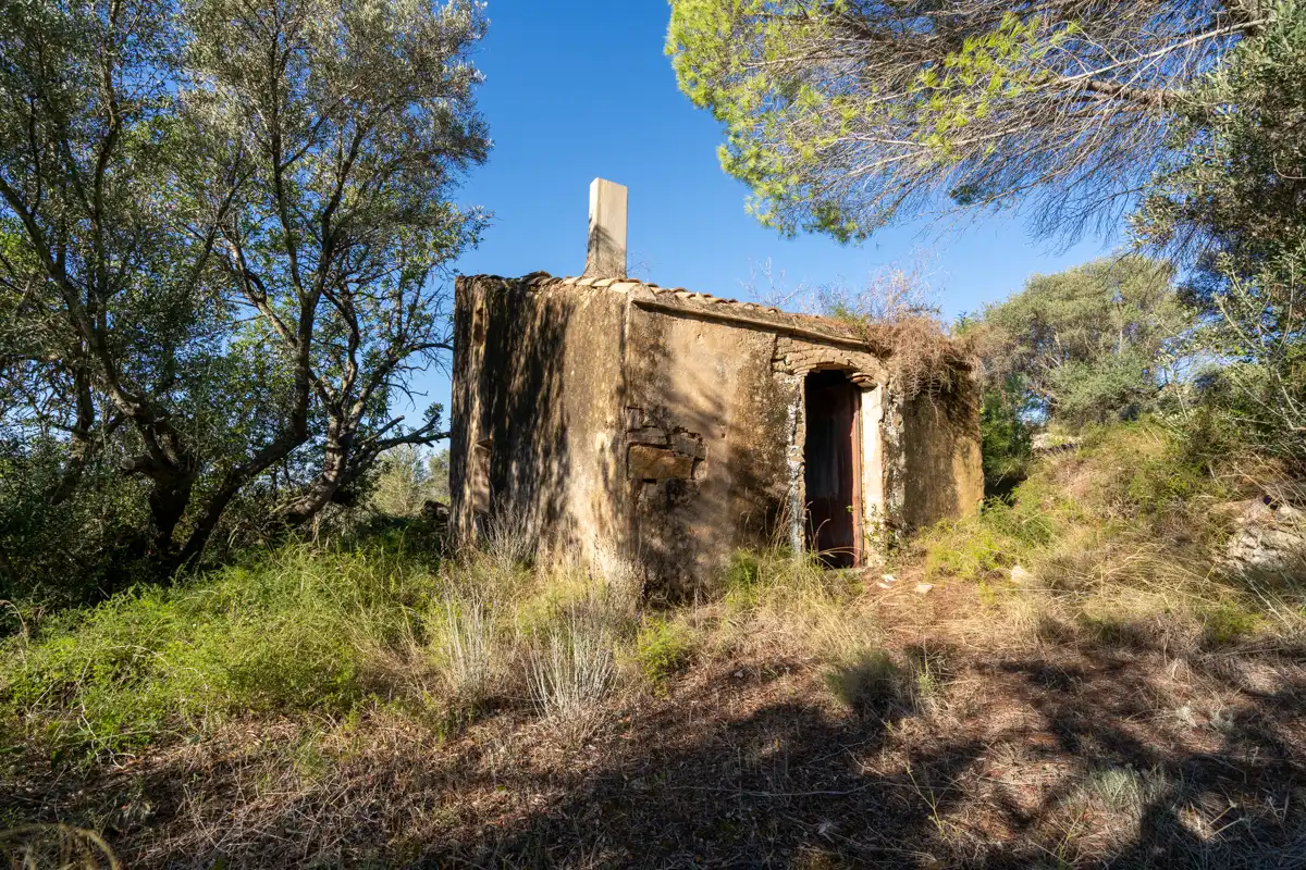 Terreny rústic en venda a Camí de la Potra de Pino 28