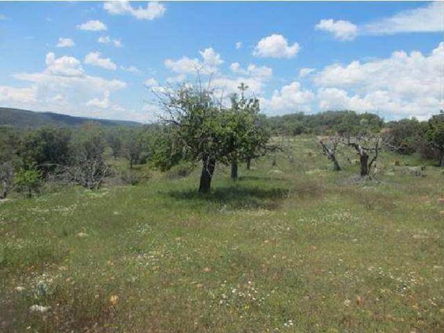 Terreno en Venta en Castrillo del Val