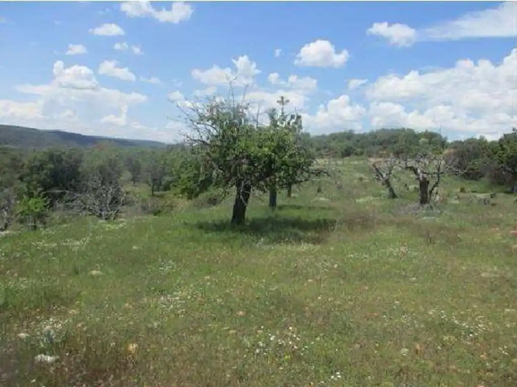 Terreny rústic en venda a Castrillo del Val, imagen 2