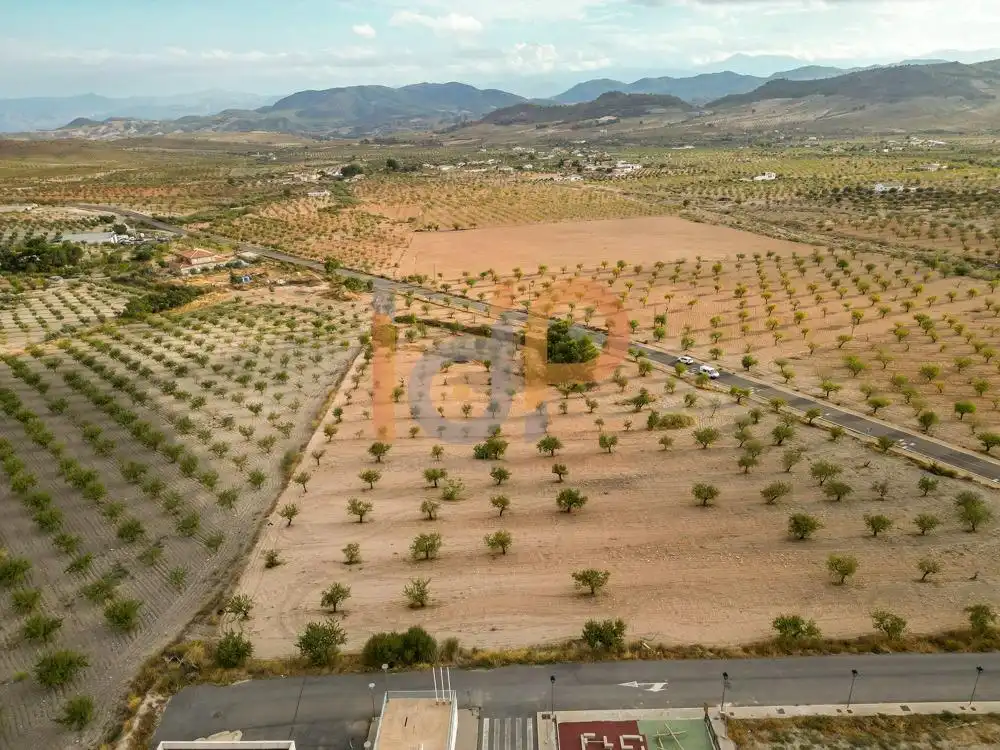 Rural land for sale in Oria, imagen 5
