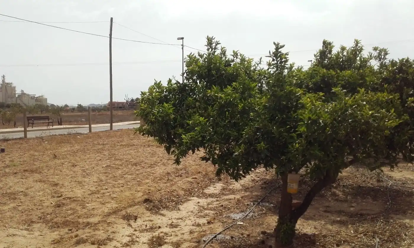 Planta baixa en venda en Fuente Álamo de Murcia amb Traster i Moblat