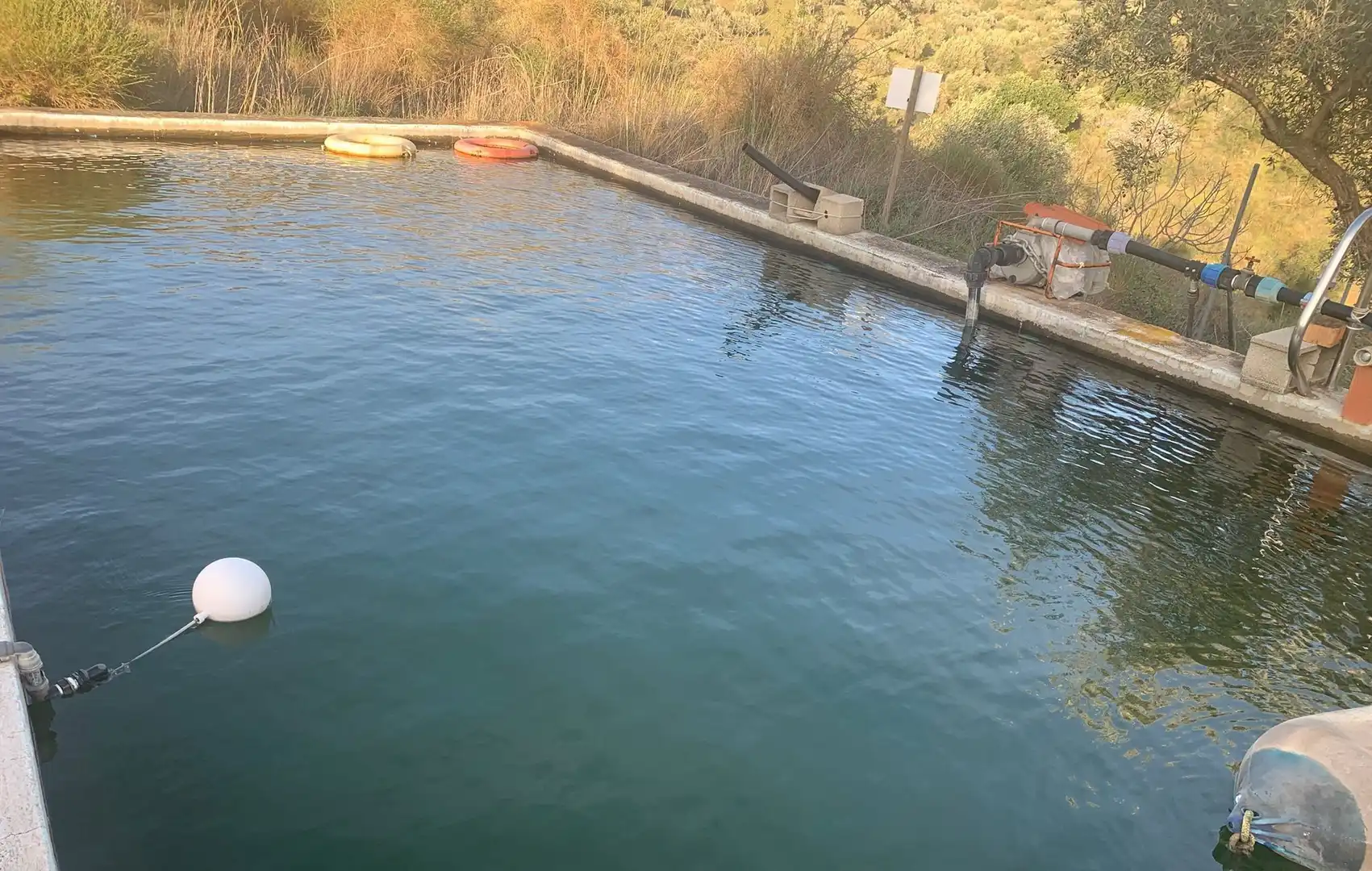 Piscina de Finca rústica en venda en Sedella amb Jardí privat, Terrassa i Traster