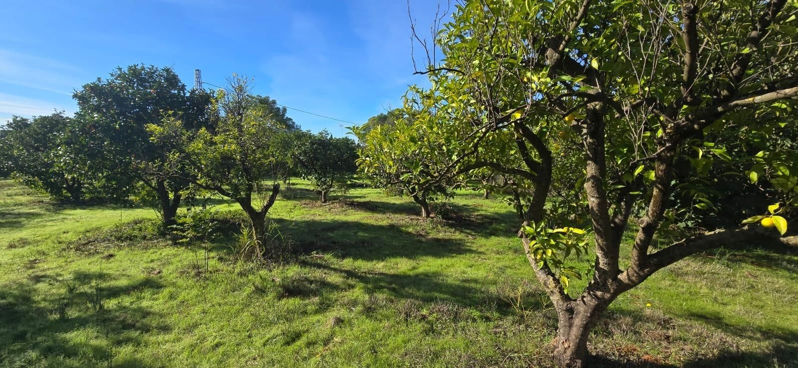 Residencial en venda en Espartinas