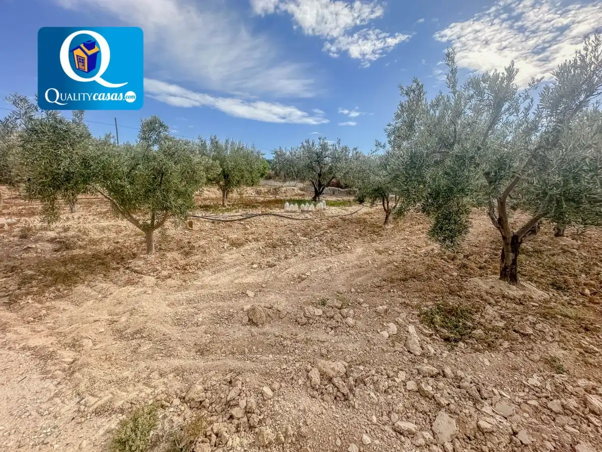 Lands and plots for sale in Partidas de Alicante, imagen 8