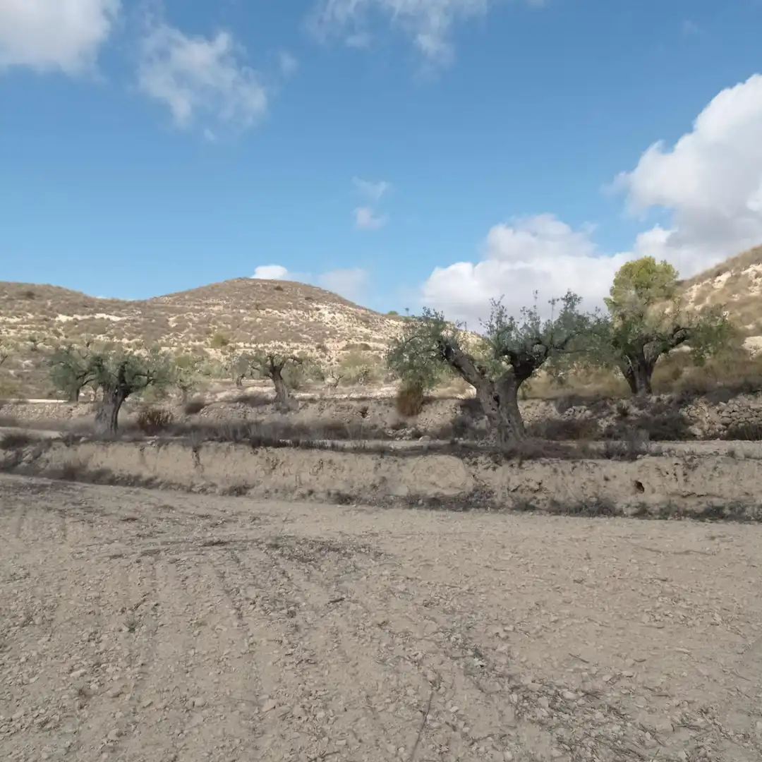 Terrain rustique à vendre à Hondón de las Nieves / El Fondó de les Neus