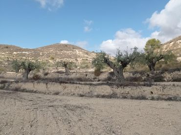Terrain rustique à vendre à Hondón de las Nieves / El Fondó de les Neus