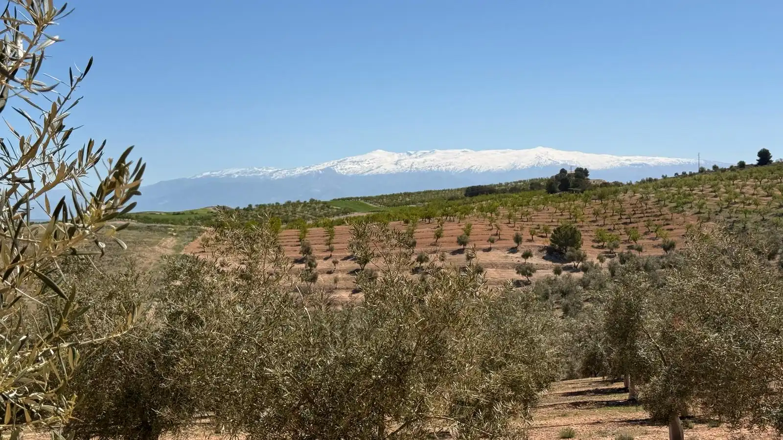Land for sale in Ventas de Huelma