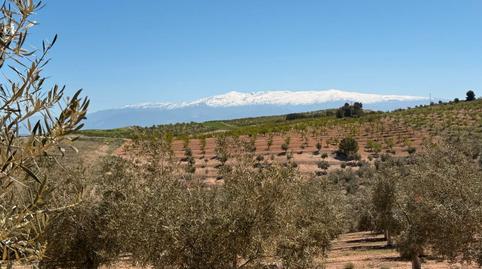 Foto 4 de Terreno en venta en N/a, -1, Ventas de Huelma, Granada