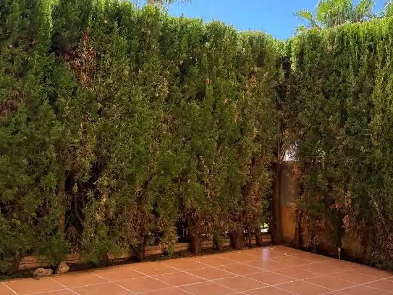 Garden of Flat for sale in Llucmajor  with Terrace, Storage room and Swimming Pool