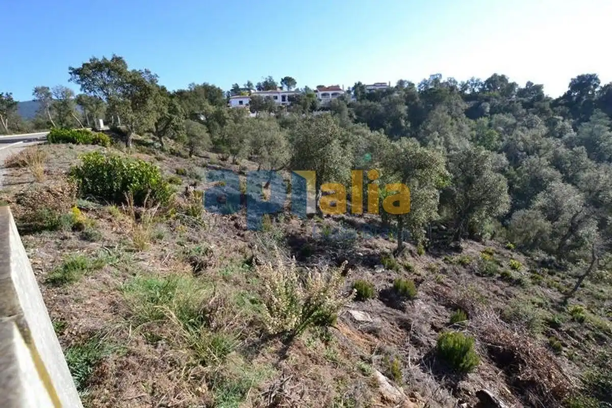 Residential land for sale in Carrer Avet, imagen 3
