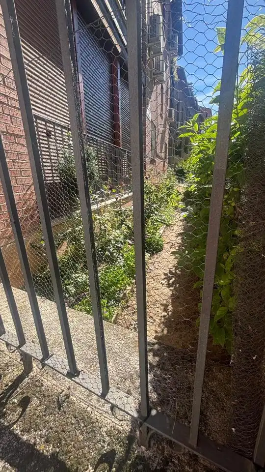 Garten von Geschaftsraum zum Verkauf in Guadalajara