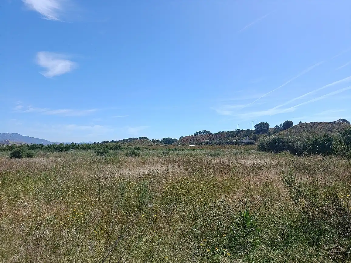 Lands and plots for sale in Mula, imagen 10
