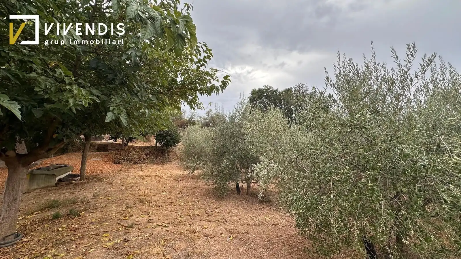 Terreny rústic en venda a Partides de Lleida, imagen 3