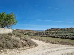 Terreno rústico en venta en Calle Granada, imagen 11