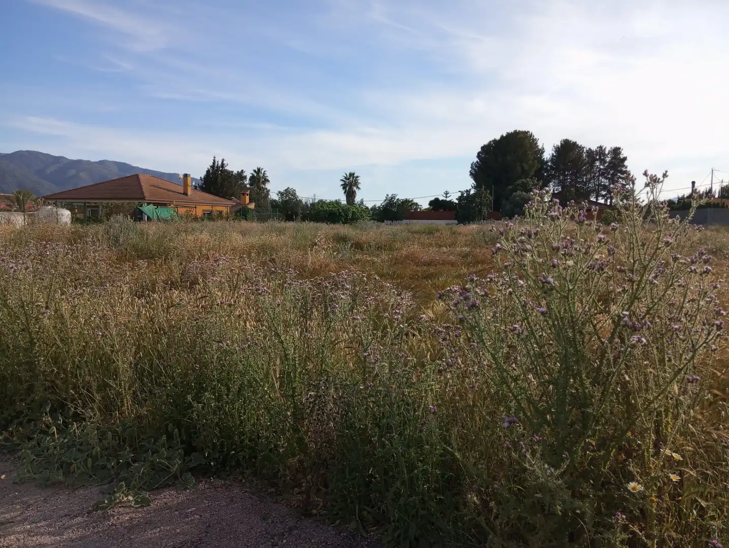 Terreno en venta en Murcia