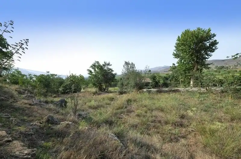 Rural land for sale in Avenida de Andalucía 108D, imagen 17