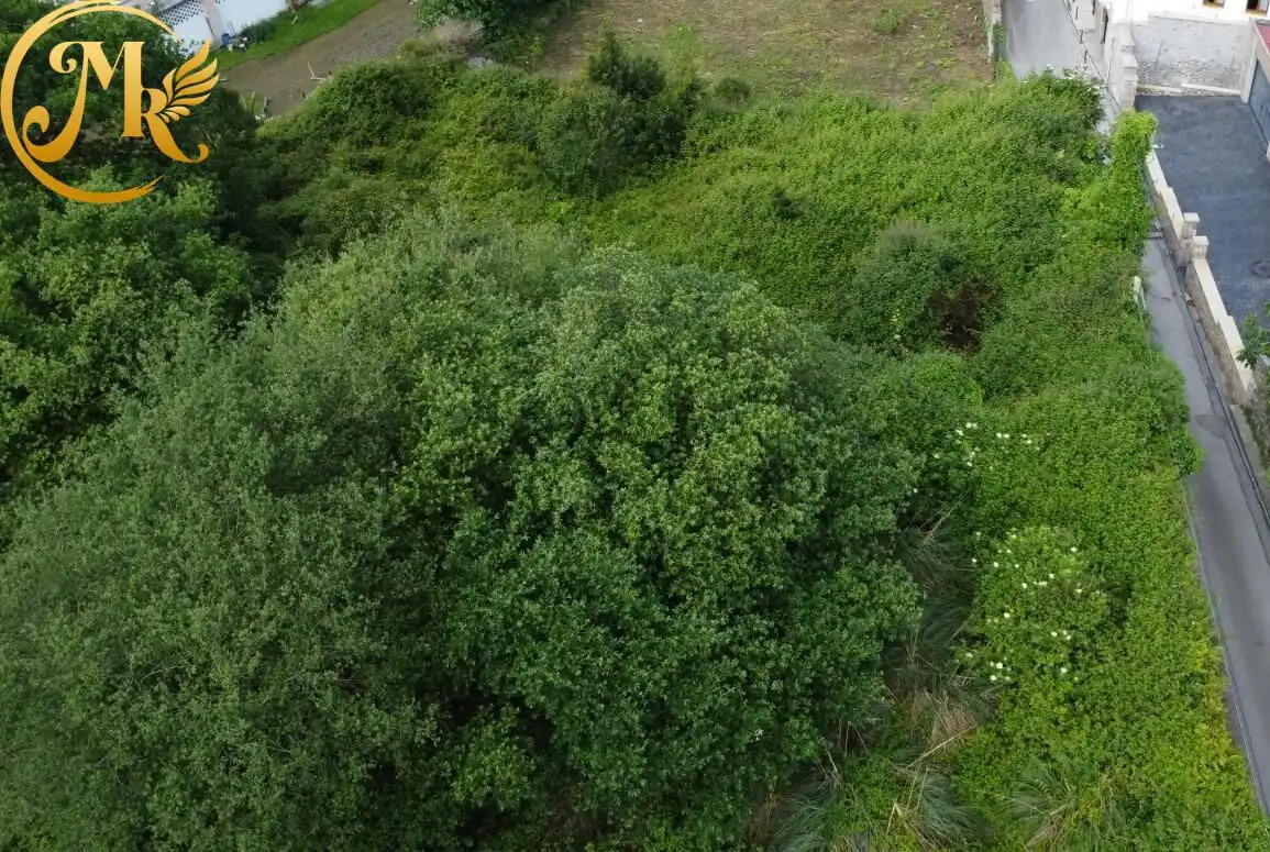 Casa con giardino in vendita a SANTA CATALINA, imagen 13