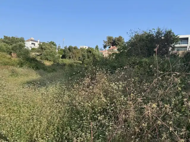 Terreny rústic en venda a San Pedro de Alcántara, imagen 5