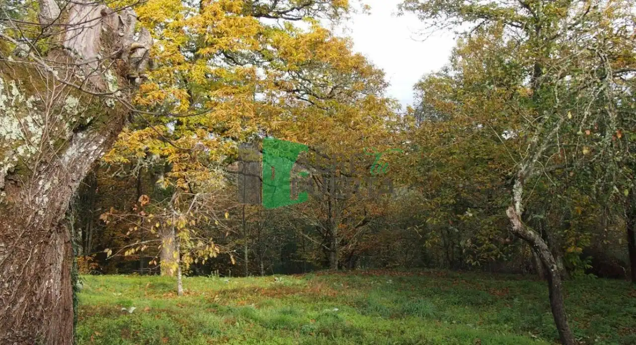 Finca rústica en venta en O Pereiro de Aguiar  con Calefacción, Jardín privado y Trastero