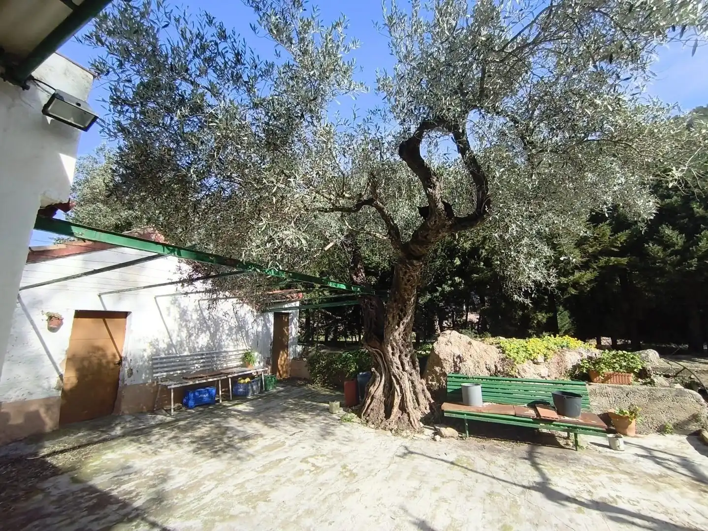 Casa con jardín en venta en Alfara de Carles, imagen 12