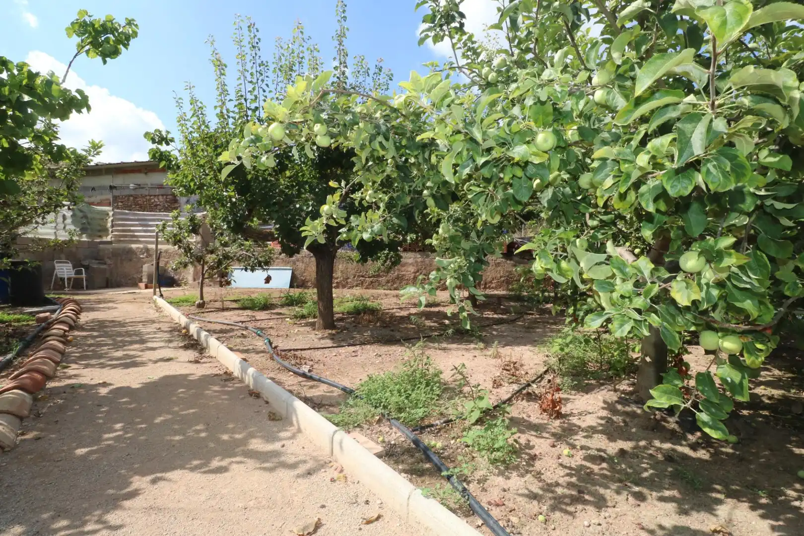 Jardín de Finca rústica en venta en Gilet