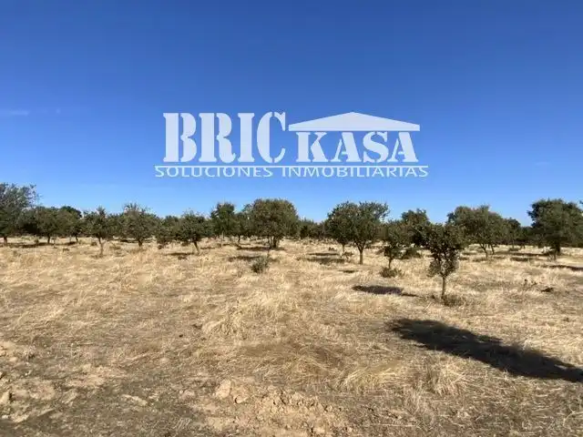 Grundstücke und Bauplätze zum Verkauf in Arroyo de la Luz, imagen 3
