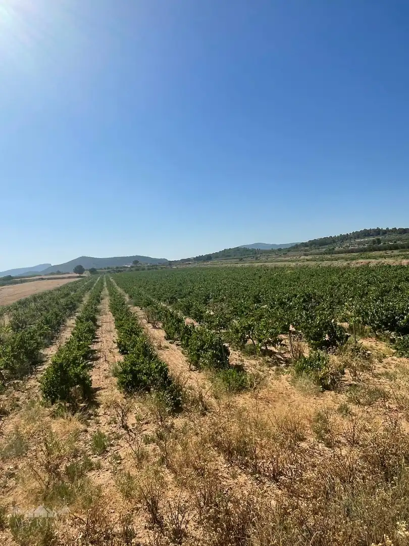 Terreno residencial en venta en El Pinós / Pinoso, imagen 26