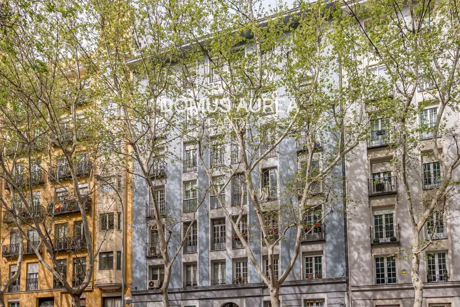 Piso con ascensor en venta en Barrio de Salamanca, imagen 15