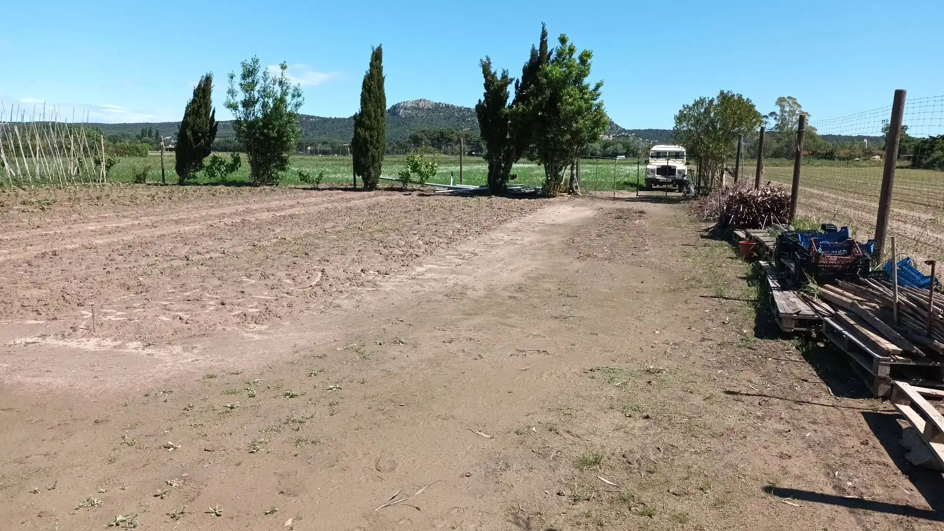 Terreny rústic en venda a Els Griells, imagen 5