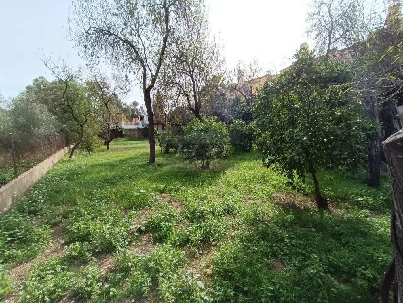 Terreno residenziale in vendita a Campolivar, imagen 7
