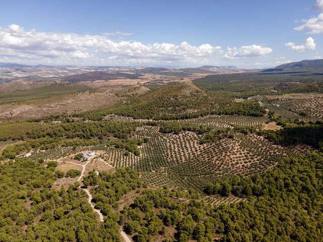Terreno en Venta en  cortijo del cura en Iznalloz