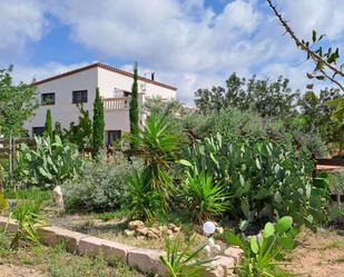 Garden of Country house for sale in Mont-roig del Camp